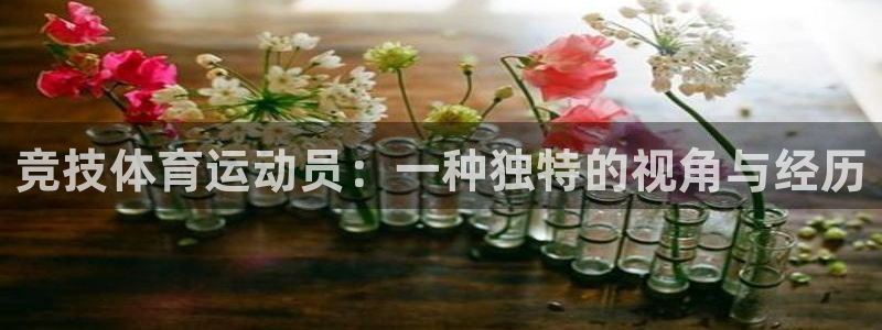 oety欧亿：竞技体育运动员：一种独特的视角与经历