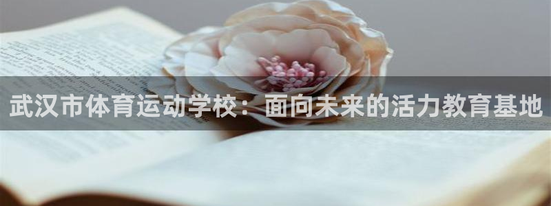 oety欧亿：武汉市体育运动学校：面向未来的活力教育基地