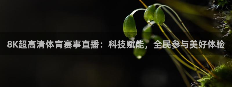 oety欧亿：8K超高清体育赛事直播：科技赋能，全民参与美好体验
