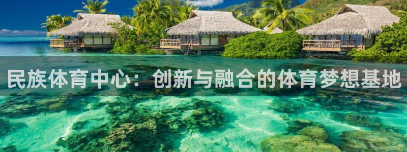 oety欧亿：民族体育中心：创新与融合的体育梦想基地