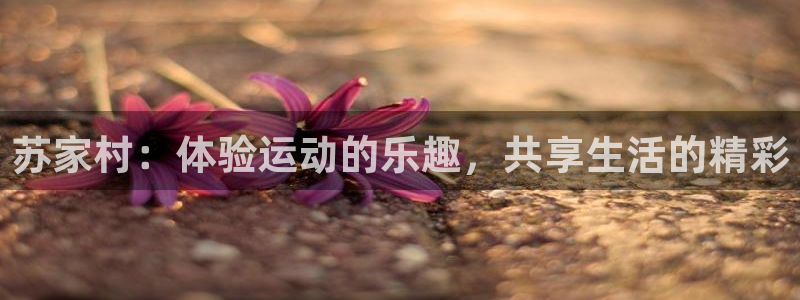 oety欧亿：苏家村：体验运动的乐趣，共享生活的精彩