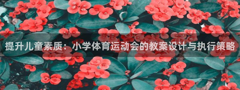 oety欧亿：提升儿童素质：小学体育运动会的教案设计与执行策略