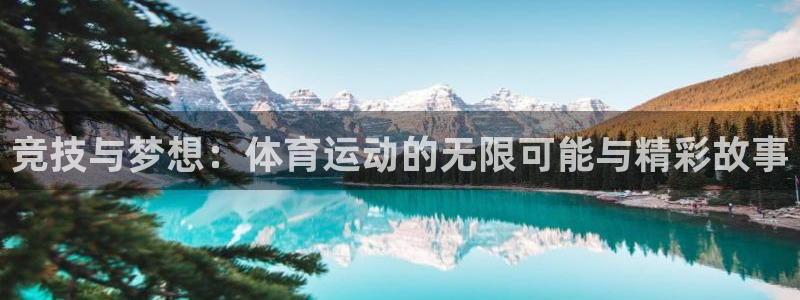 oety欧亿：竞技与梦想：体育运动的无限可能与精彩故事