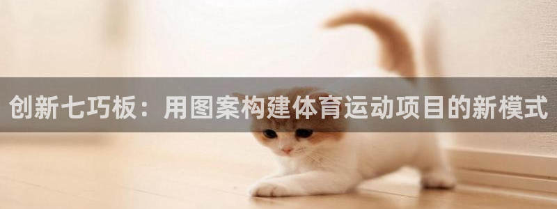 oety欧亿：创新七巧板：用图案构建体育运动项目的新模式